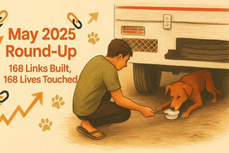 May 2025 Round Up: 168 Links Built, 168 Lives Touched