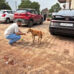 links that feed may 2025