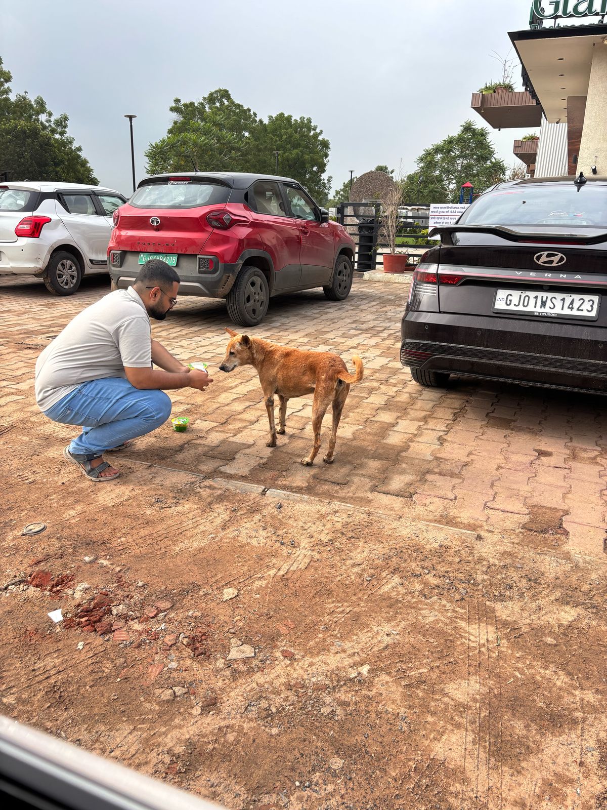 links that feed may 2025