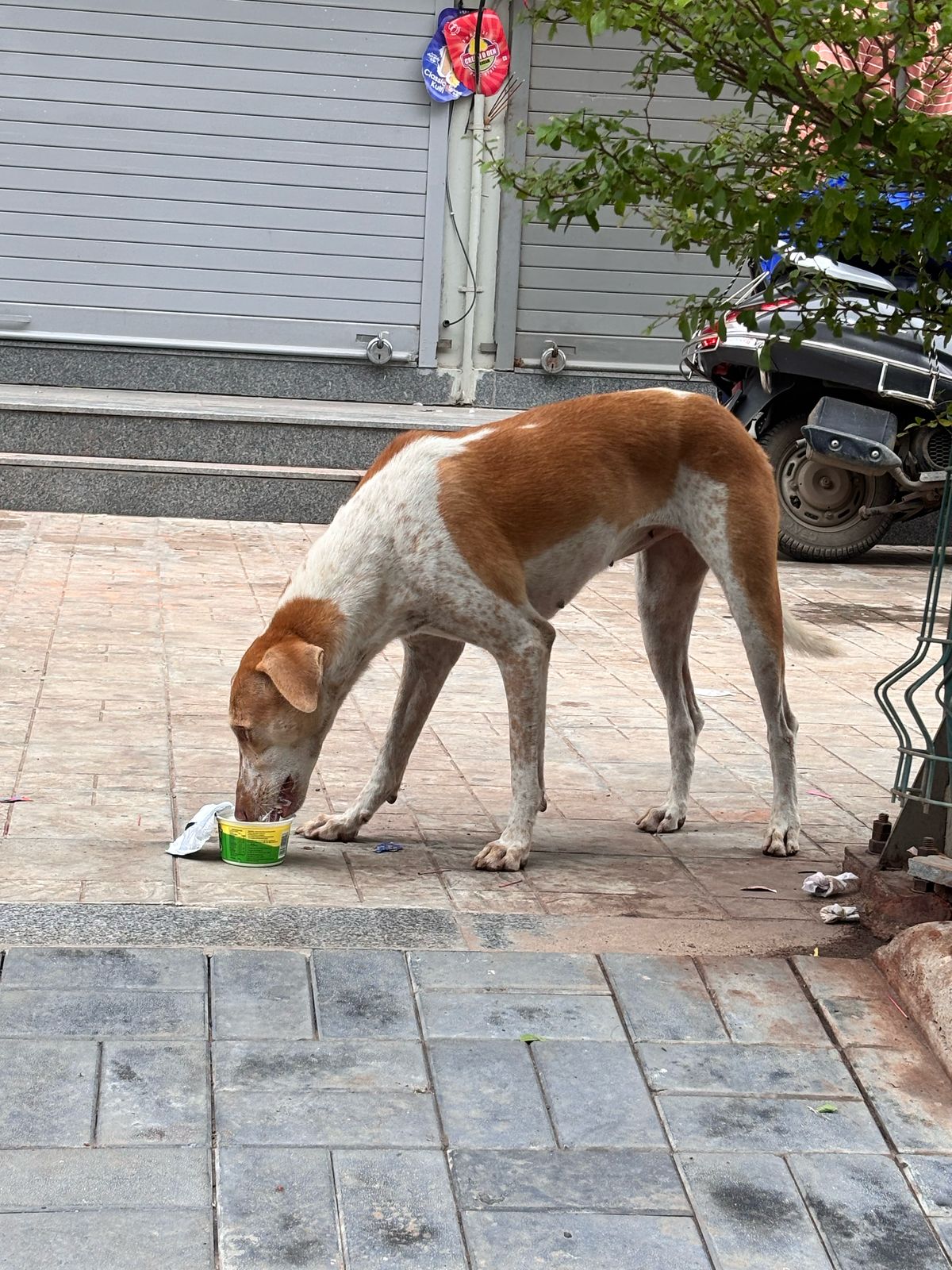 links that feed may 2025