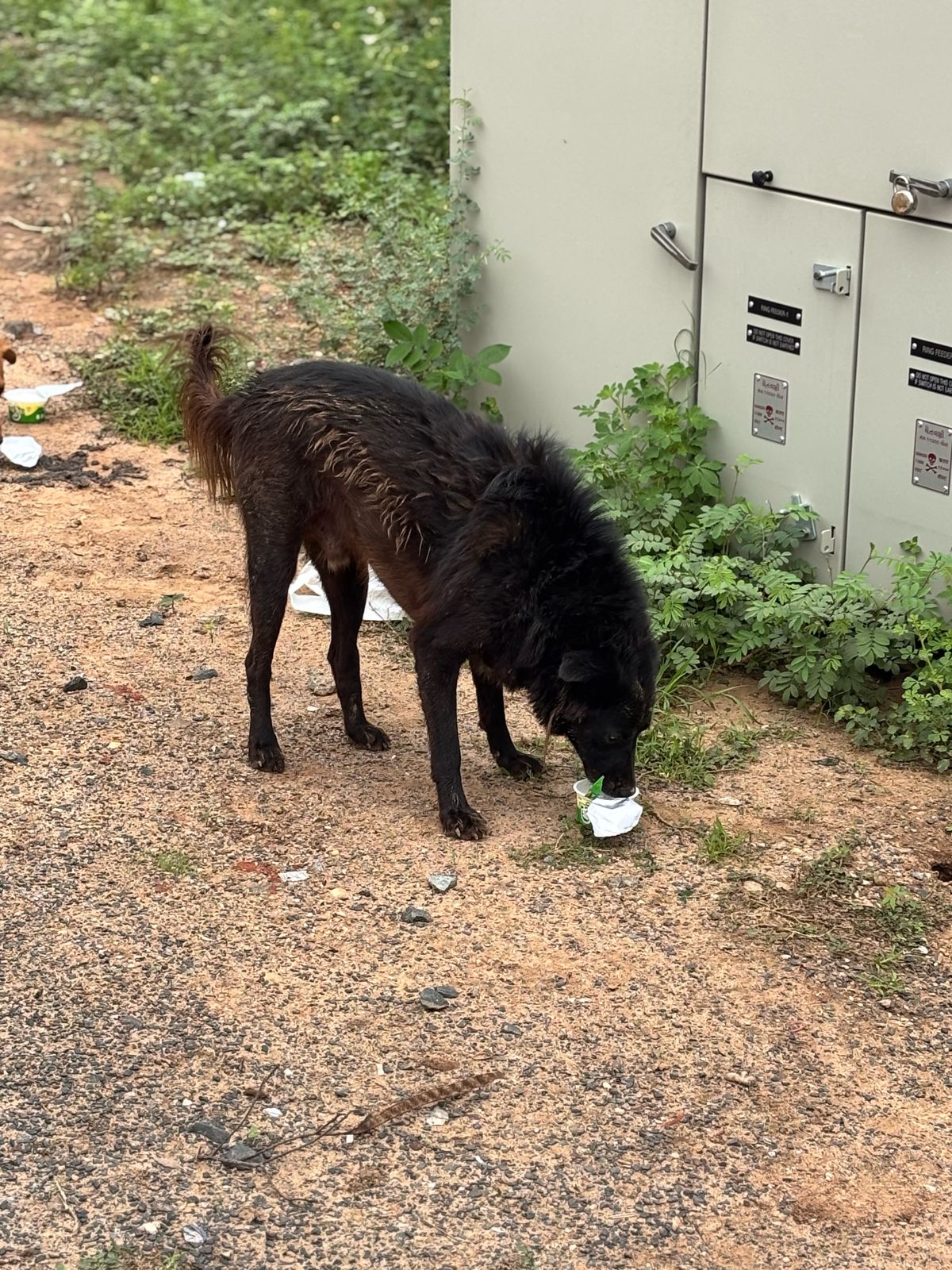 links that feed may 2025