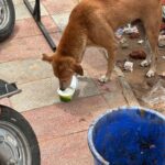 links that feed may 2025