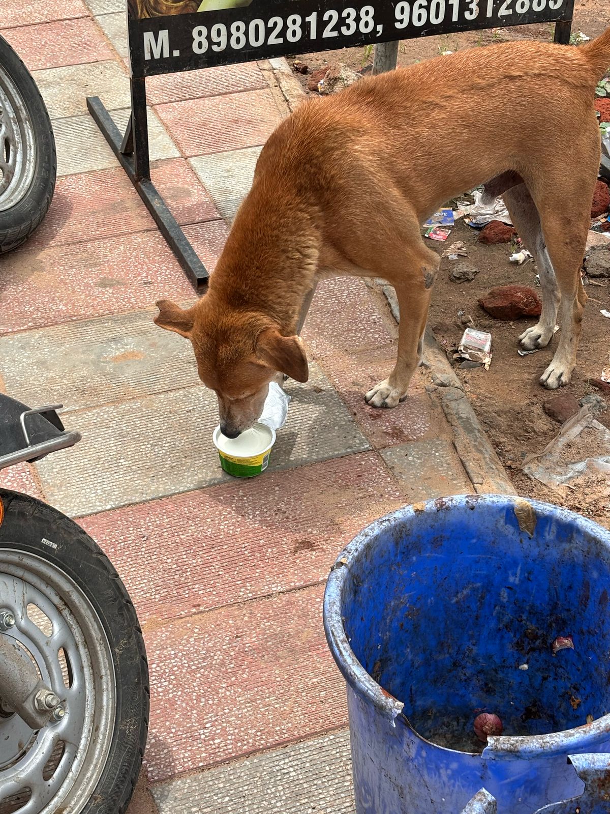 links that feed may 2025