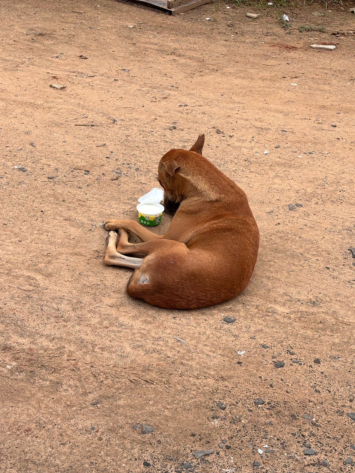 links that feed may 2025