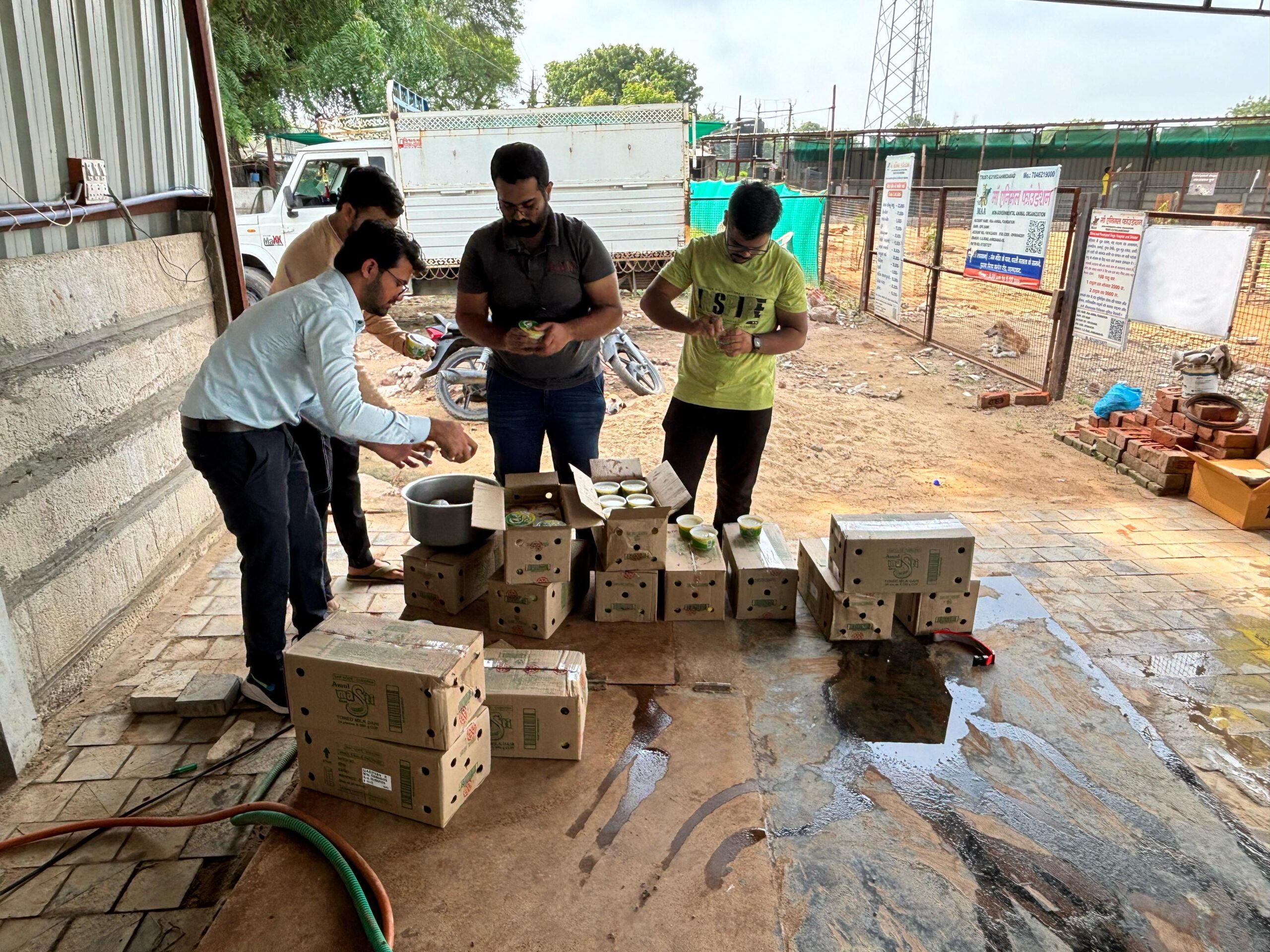 Volunteers feeding dogs curd at animal shelter in June July 2025 Links That Feed campaign