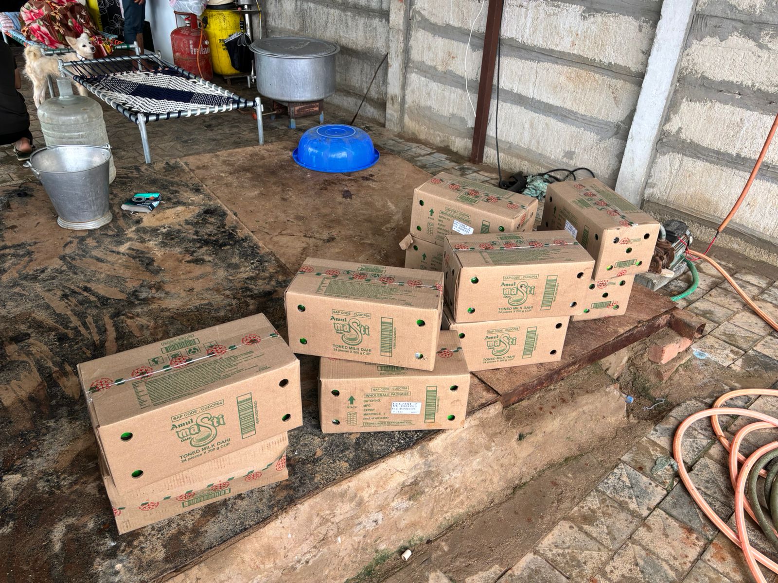 Boxes of curd cups prepared for feeding animals during the Links That Feed Campaign visit at MAA Animal Foundation.