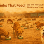 Sep–Nov 2025 Round Up: 780 Links Built